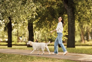 Godrej MSR City Phase 2 Shettigere New Launch